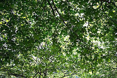 《星际迷航：复苏》官宣延期 明年4月发售